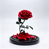 La Belle et la Bête - Fleur éternelle sous cloche en verre - Cadeau pour femme, petite amie - Décoration pour Thanksgiving, Noël et événements spéciaux
