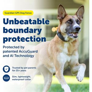 ปลอกคอสุนัข PetSafe Guardian GPS สีดำ แบบชาร์จไฟได้ ไร้สาย สำหรับสุนัขพันธุ์กลาง ครอบคลุมพื้นที่ 3/4 เอเคอร์ - Product Image 2