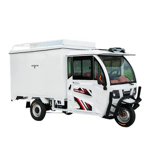 High Quality Closed Express Tricycle For Adults Electric And New Asia Auto Rickshaw Price In Usa