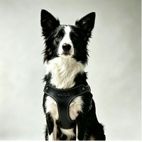Harnais de luxe en cuir fait main pour chien, gilet pour lévrier italien, nouveaux produits 2026, accessoires pour animaux de compagnie