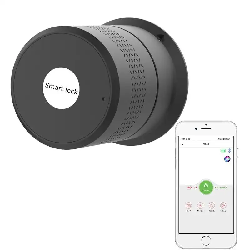 DiGear водонепроницаемый, Wi-Fi-приложение, умный дверной замок, биометрический замок, отпечаток пальца, дверная ручка, цифровой замок без ключа