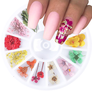 Coffret de fleurs séchées 3D stéréo pour la décoration des ongles, <span class=keywords><strong>gel</strong></span> UV, pétales de plantes réelles, accessoires pour ongles - Product Image 4