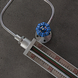 Jauge de niveau à tube de quartz réfléchissant/transparent avec raccord à bride en acier inoxydable DN20, indicateur lumineux LED 24V/220V, garantie 3 ans - Product Image 5