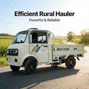 Camionnette électrique compacte à vendre, 2 places, avec volant, fabriquée en Chine - Product Image 4