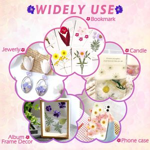 Großpackung Natürliche Getrocknete Gepresste Blumen für Kunstharzschmuck – Farbenfrohe Botanicals für DIY Nagelkunst, Seifenhandwerk, Hochzeits-/Oster-Lesezeichen - Product Image 6