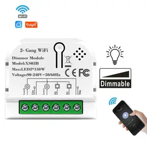 Tuya 220V Home Assistant Dimmer Switch WiFi Modul Elektrik Pintar 2 Gang Relay Bekerja dengan Alexa Google Yuri Alice