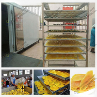 Elektrische droger voor groenten en fruit, dehydrator, voedseldroger, groentedroger voor kleine bedrijven