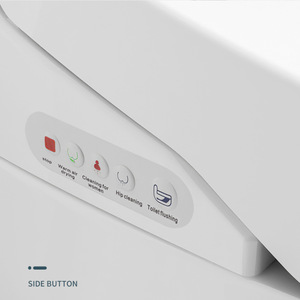 Распродажа, 110 В/220 В, автоматический умный туалет - Product Image 6