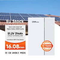 DAH Slovenia Harga Pabrik Stok 200A Maks 120kg CAN2.0 RS485 Baterai Surya Penyimpan Energi Terpasang di Dinding/Lantai Baterai Hibrida