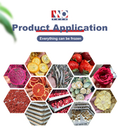 Lyophilisateur Machine congelé Freezeilizer Viande Alimentaire Séchoir à fruits sous vide lyophilisation Lyophilisateur industriel