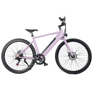 Factory Cheap Price Fast Shipping 36V 250W City E Bike for Adults in Stock - Product Image 2