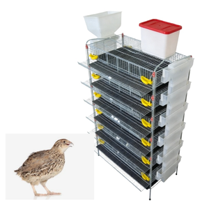 Équipement professionnel d'élevage de cailles, <span class=keywords><strong>cage</strong></span> à 6 niveaux avec système d'alimentation et d'abreuvement automatisé - Product Image 4