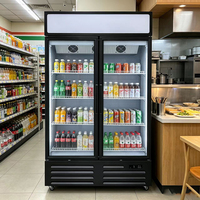 Réfrigérateur de présentation vertical commercial personnalisé avec logo publicitaire et éclairage publicitaire supérieur pour boissons gazeuses