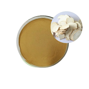 Bột chiết xuất <span class=keywords><strong>Angelica</strong></span> Sinensis, chiết xuất rễ <span class=keywords><strong>Angelica</strong></span>, thực phẩm bổ sung - Product Image 1