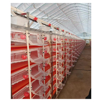 Nouveaux modèles de cages commerciales pour cailles en plastique de type H à 6 niveaux / Équipement pour cages à cailles pour fermes de cailles en Russie