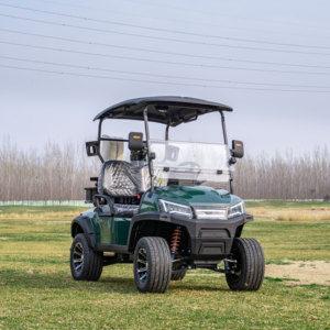 Supply Golf Buggy <b>2</b> <b>Passenger</b> Cart Seat Model for Resort & Villa - Product Image 2