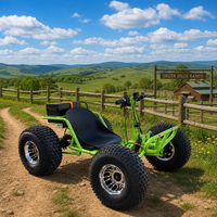 Kart électrique pour adultes 48V 1800W, 45 km/h, tout-terrain, buggy de drift hors route avec batterie au lithium pour l'aventure en plein air