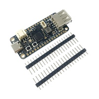5723 RP2040 双核开发板，带 USB Type-C 和 Type-A 主机端口、8MB 闪存、锂聚合物电池充电器