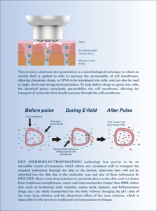 Sistema de Penetración Cutánea No Invasiva DEP-2S para Rejuvenecimiento, Reducción de Arrugas y Tratamiento de Celulitis - Product Image 4