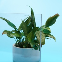 Vente directe d'usine, plaque en polycarbonate transparente personnalisée, plaque/feuille/plaque en polycarbonate PC résistante