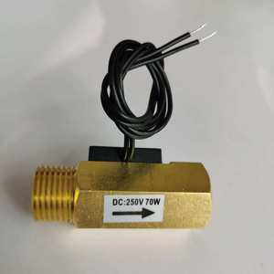 Interrupteur de débit d'eau magnétique à flotteur en laiton DN15, 4 types de filetages, longueur 62 mm pour pièces de chauffe-eau universelles et chaudières murales - Product Image 3