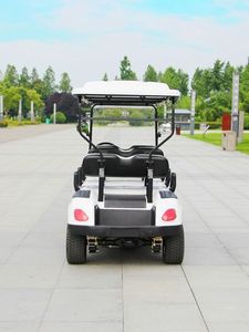 레인보우 브랜드 72v 6 인용 고속 스틸 전기 골프 카트 5kw 모터 리프터 포함 - Product Image 6