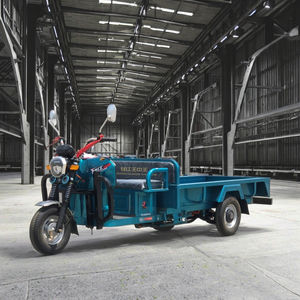 2025 60v 3 roues électrique Streetbike Tricycle de type ouvert pour adultes grand coffre Cargo vélo 1000kg poids à vide motorisé Trikes - Product Image 1