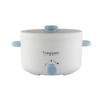 Haute qualité Portable facile à nettoyer 2 L électrique 700 W - 2 niveaux Options de puissance pour soupe et nouilles marmite multifonctionnelle