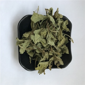 Feuilles de <span class=keywords><strong>menthe</strong></span> fraîchement récoltées, herbes séchées et thé à la <span class=keywords><strong>menthe</strong></span> <span class=keywords><strong>poivrée</strong></span> séchée - Product Image 6