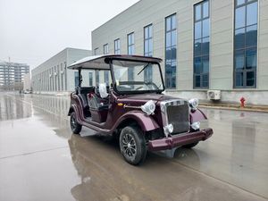 Voiture électrique vintage de haute qualité à 8 places — Idéale pour les attractions touristiques et les centres de villégiature - Product Image 2