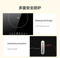 Plaque de cuisson à induction électrique multifonctionnelle à brûleur unique 220V, commande tactile, design étanche pour usage commercial, fonction hotpot