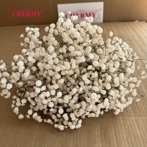 Fleur artificielle <span class=keywords><strong>Gypsophile</strong></span> à tige unique en latex toucher réel, style automne populaire, pour bouquet et décoration d'allée de <span class=keywords><strong>mariage</strong></span> - Product Image 3