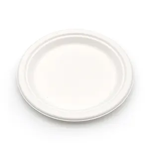 Fournisseur de pulpe de bagasse de canne à sucre Assiettes rondes de 10 pouces Assiettes en papier Distributeur en vrac