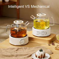 Bouilloire électrique en verre borosilicate Great Bear 700W, chauffe-eau rapide, pour café et thé, avec infuseur
