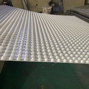 แผ่นระบายน้ำพลาสติก <span class=keywords><strong>HDPE</strong></span> สำหรับระบบหลังคาสีเขียวแผ่นระบายน้ำ <span class=keywords><strong>HDPE</strong></span> มีช่องระบายน้ำแบบเจาะรูสำหรับการป้องกัน - Product Image 4