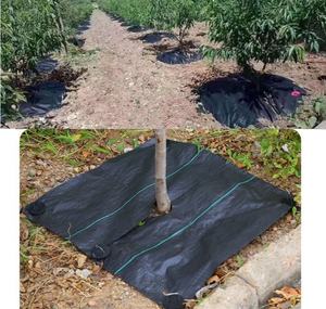 Alas Tanam Anti Gulma PP Berkualitas Tinggi dari Pabrik, Alas Tanam Anti Gulma Berlubang dengan Paku Plastik - Product Image 2