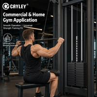 Bloc de contrepoids en fer, plaque de poids pour salle de sport, accessoire d'équipement de fitness pour la maison, la salle de sport commerciale et les machines d'entraînement de force