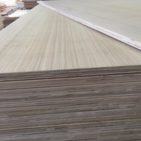    Offres Spéciales : Panneaux de Contreplaqué Stratifié Commercial en Bois de Tilleul et Bouleau, 3mm, 6mm, 9mm, 18mm, 4x8, pour Meubles, Revêtements de Planchers de Train et Cloisons