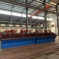 Machine de flottation à agitateur modèle SF0.7, moteur 380V pour le traitement des minerais en Égypte et au Soudan avec garantie d'un an