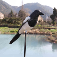 Décoys d'oiseaux en plastique pour extérieur, magpies réalistes floqués, pour la chasse aux oiseaux dans la cour, le jardin, la pelouse, décoration
