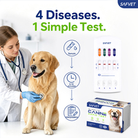 Kit de test rapide 4 en 1 pour chiens CE ISO : Détection d'antigènes EHR, ANA, Dirofilaria et Lyme – Bandelettes de test vétérinaire pour animaux de compagnie