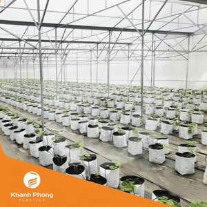 Película de Invernadero de Alta Calidad para Viveros de Plántulas con Difusión de Luz Suave y Control Estable de Humedad y Temperatura - Product Image 1