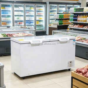 Équipement de réfrigération commercial YULONGE, congélateur coffre à double porte, ouverture par le haut, <span class=keywords><strong>grand</strong></span> <span class=keywords><strong>volume</strong></span> - Product Image 3