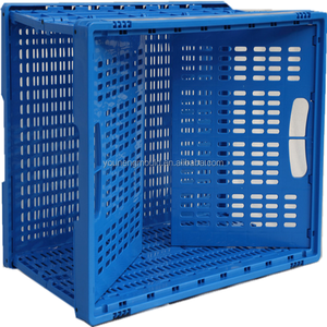 Molde de China, China, <span class=keywords><strong>Taizhou</strong></span>, molde de inyección de plástico para el hogar, fabricante de moldes de cesta en fábrica de <span class=keywords><strong>Taizhou</strong></span> - Product Image 5