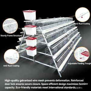 Cage à poules pondeuses à 4 niveaux, capacité 128, pour ferme avicole, type batterie - Product Image 5
