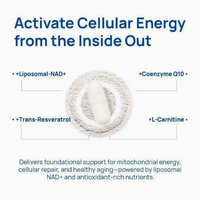 Dropshipping DDP Expédition Rapide Capsules Booster NAD+ CoQ10 Niacinamide Suppléments Énergétiques Cellulaires pour Hommes Fournisseurs