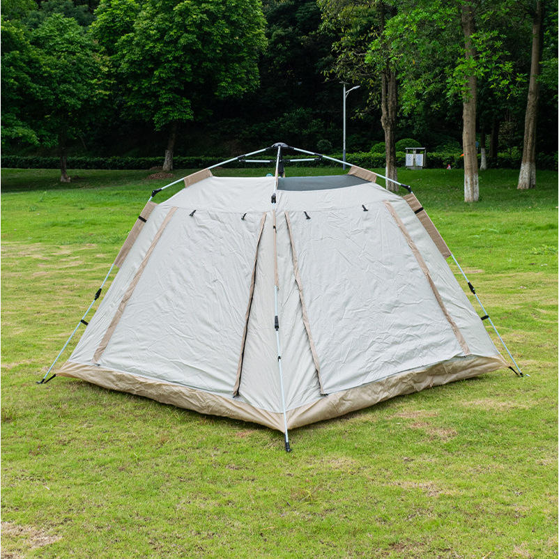 ตามที่แสดง