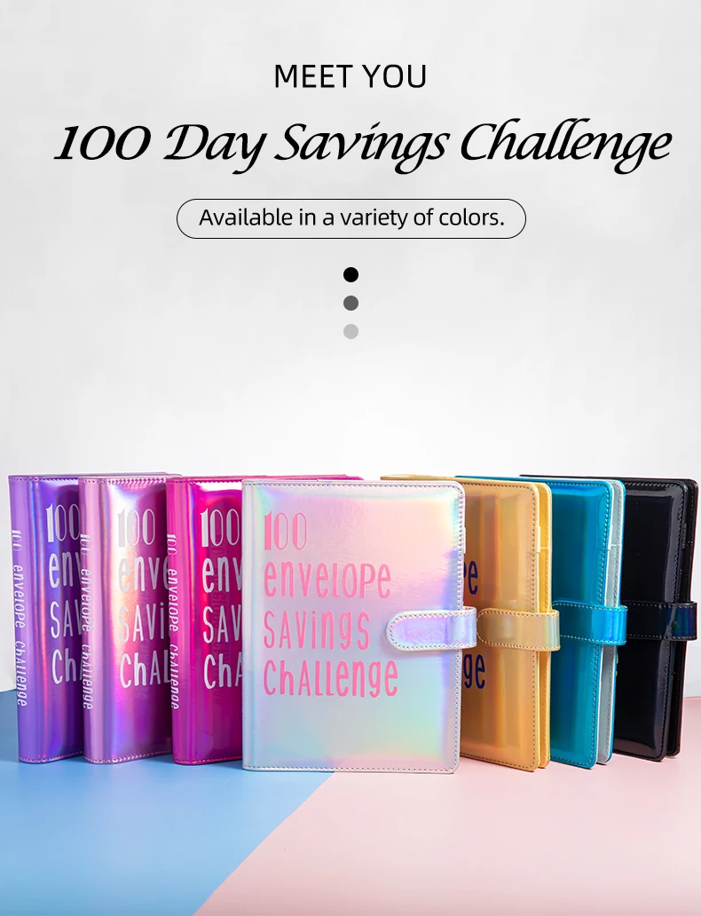 Budget Book Binder - 100 Envelopes Saving Challenge Box