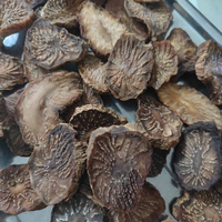 Tranches de Rou Cong Rong de haute qualité, produit à base de plantes chinoises, vente chaude, herbes chinoises, tranches de Cistanche séchées, aliments santé, épices diététiques
