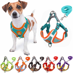 Harnais et laisse réglables pour chien, ensemble réfléchissant, cadeau pour chiot, gilet de harnais pour chat, laisse d'entraînement extérieur pour petit chien, anti-traction - Product Image 2